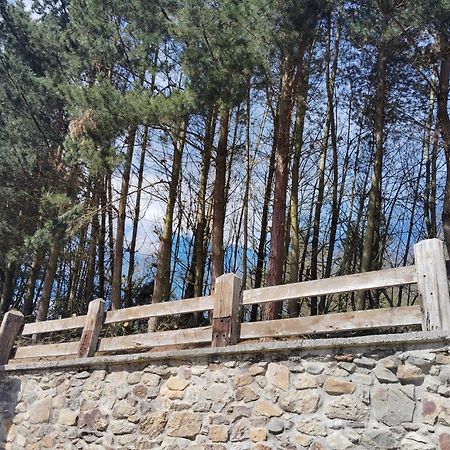 Hotel El Nuevo Semellon Aceptamos Mascotas Tineo Exterior foto