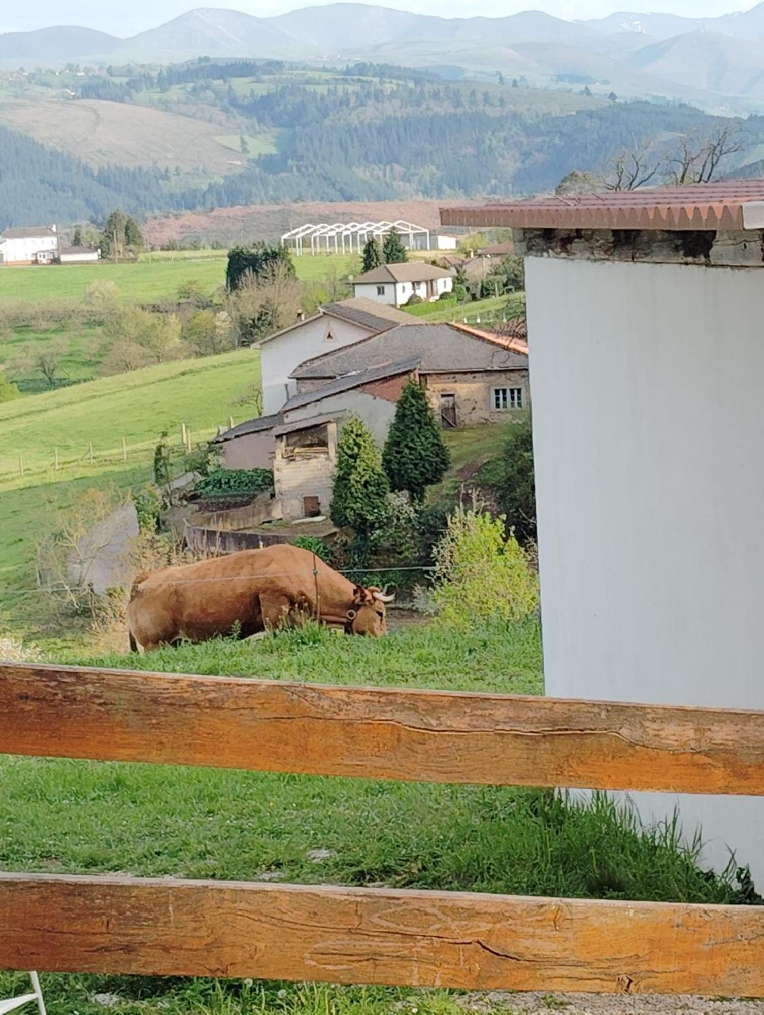 Hotel El Nuevo Semellon Aceptamos Mascotas Tineo Exterior foto